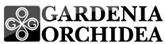 Gardenia Orchidea